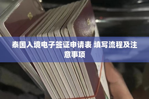 泰国入境电子签证申请表 填写流程及注意事项  第1张