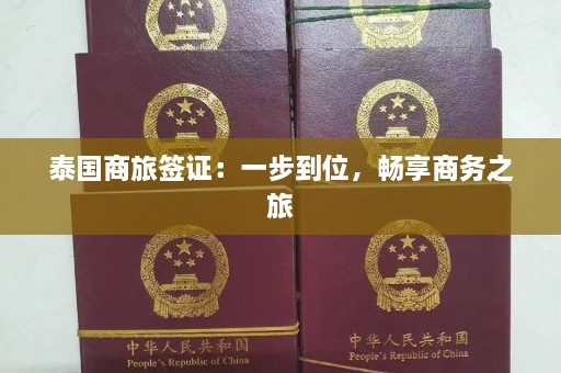 泰国商旅签证：一步到位，畅享商务之旅  第1张