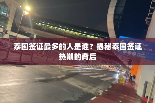 泰国签证最多的人是谁？揭秘泰国签证热潮的背后  第1张