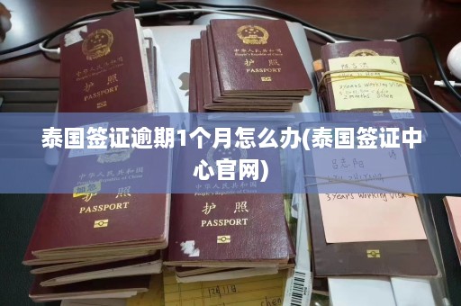 泰国签证逾期1个月怎么办(泰国签证中心官网)  第1张