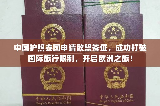 中国护照泰国申请欧盟签证，成功打破国际旅行限制，开启欧洲之旅！  第1张