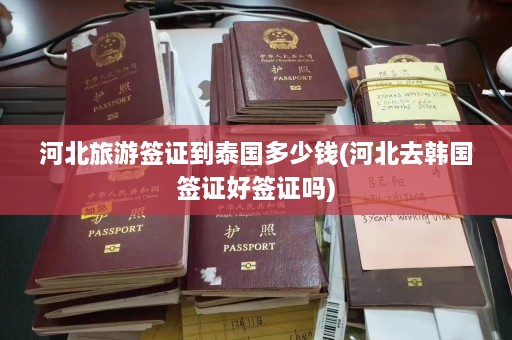 河北旅游签证到泰国多少钱(河北去韩国签证好签证吗)  第1张