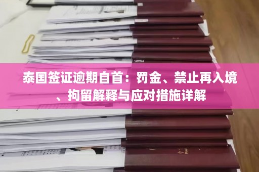 泰国签证逾期自首：罚金、禁止再入境、拘留解释与应对措施详解  第1张