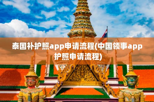 泰国补护照app申请流程(中国领事app 护照申请流程)  第1张