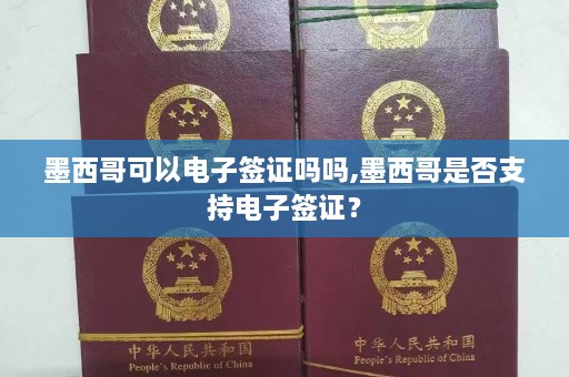 墨西哥可以电子签证吗吗,墨西哥是否支持电子签证？  第1张