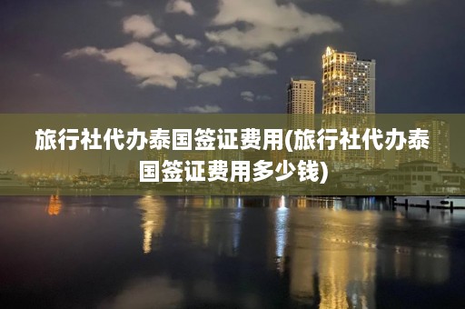 旅行社代办泰国签证费用(旅行社代办泰国签证费用多少钱)  第1张