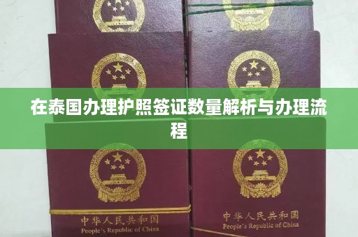 在泰国办理护照签证数量解析与办理流程