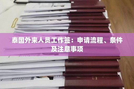 泰国外来人员工作签：申请流程、条件及注意事项  第1张