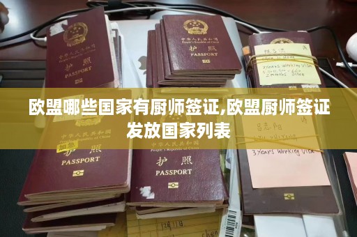 欧盟哪些国家有厨师签证,欧盟厨师签证发放国家列表  第1张