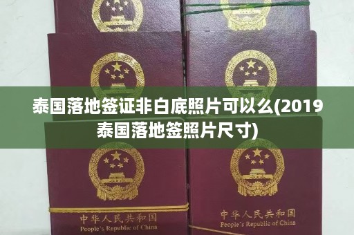 泰国落地签证非白底照片可以么(2019泰国落地签照片尺寸)  第1张