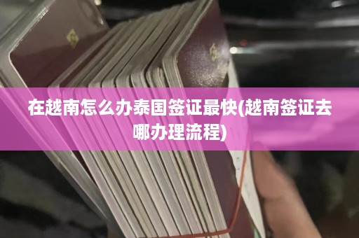 在越南怎么办泰国签证最快(越南签证去哪办理流程)  第1张