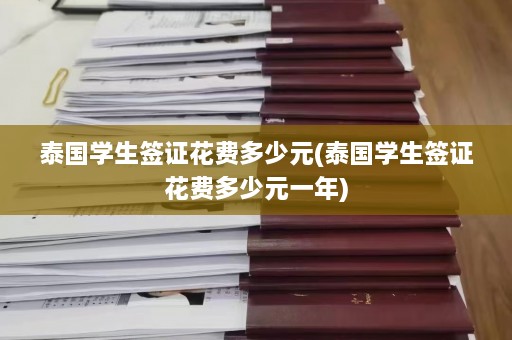 泰国学生签证花费多少元(泰国学生签证花费多少元一年)  第1张