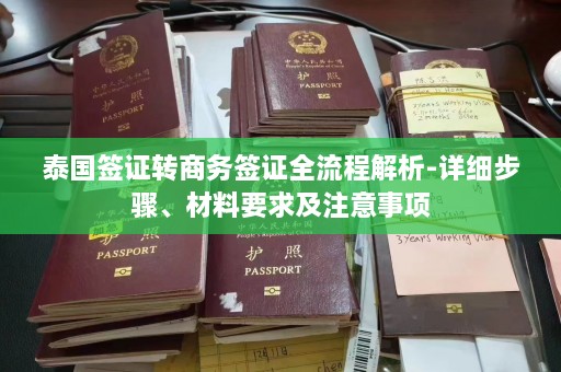 泰国签证转商务签证全流程解析-详细步骤、材料要求及注意事项  第1张