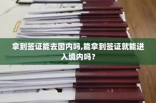 拿到签证能去国内吗,能拿到签证就能进入境内吗？