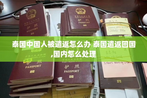 泰国中国人被遣返怎么办 泰国遣返回国,国内怎么处理  第1张