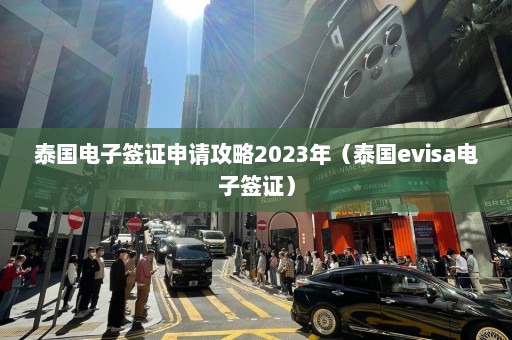 泰国电子签证申请攻略2023年（泰国evisa电子签证）