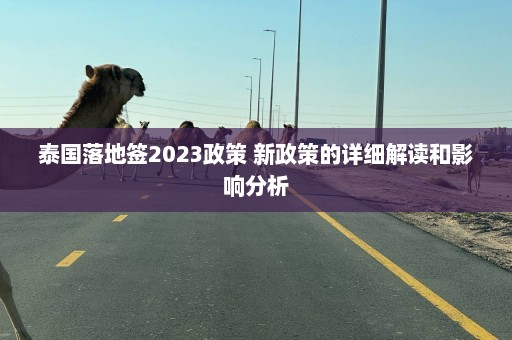 泰国落地签2023政策 新政策的详细解读和影响分析