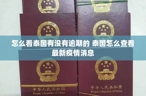 怎么看泰国有没有逾期的 泰国怎么查看最新疫情消息  第1张