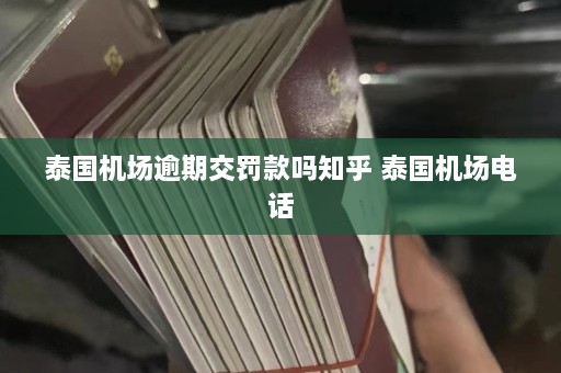 泰国机场逾期交罚款吗知乎 泰国机场 ***   第1张