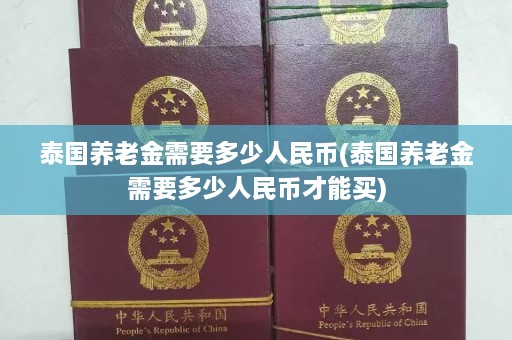 泰国养老金需要多少人民币(泰国养老金需要多少人民币才能买)