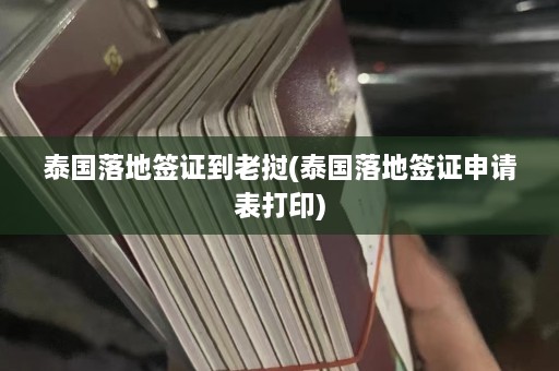 泰国落地签证到老挝(泰国落地签证申请表打印)  第1张