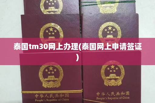 泰国tm30网上办理(泰国网上申请签证)