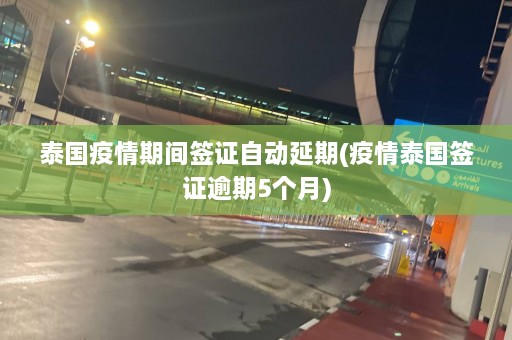 泰国疫情期间签证自动延期(疫情泰国签证逾期5个月)  第1张