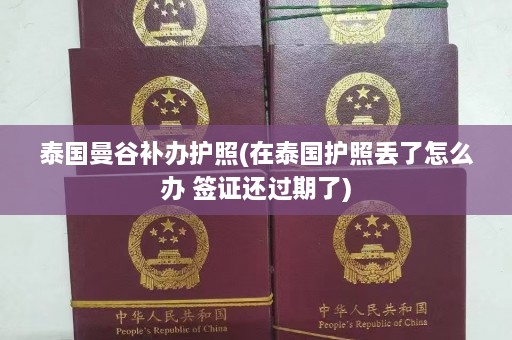 泰国曼谷补办护照(在泰国护照丢了怎么办 签证还过期了)  第1张