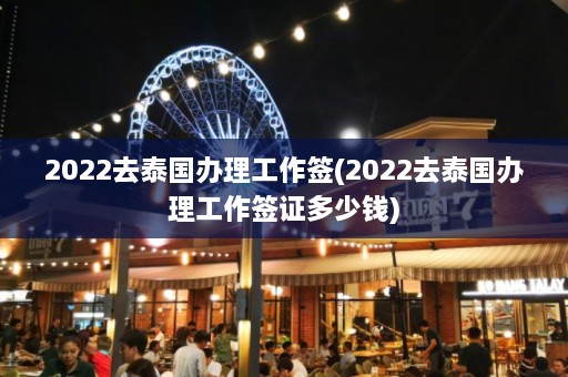 2022去泰国办理工作签(2022去泰国办理工作签证多少钱)