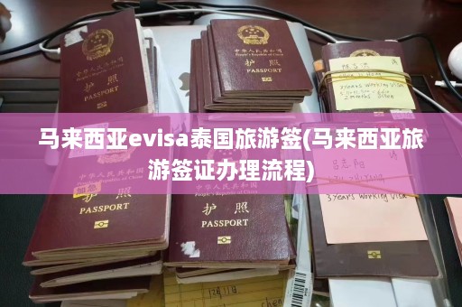 马来西亚evisa泰国旅游签(马来西亚旅游签证办理流程)  第1张