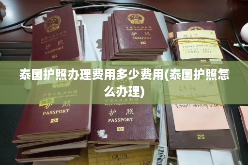 泰国护照办理费用多少费用(泰国护照怎么办理)  第1张