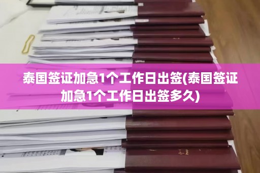 泰国签证加急1个工作日出签(泰国签证加急1个工作日出签多久)  第1张