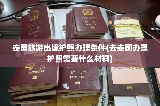 泰国旅游出境护照办理条件(去泰国办理护照需要什么材料)  第1张