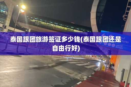 泰国跟团旅游签证多少钱(泰国跟团还是自由行好)  第1张