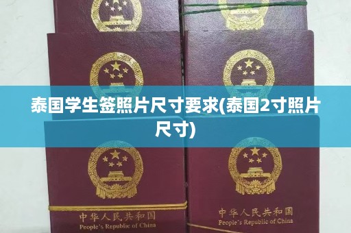 泰国学生签照片尺寸要求(泰国2寸照片尺寸)  第1张