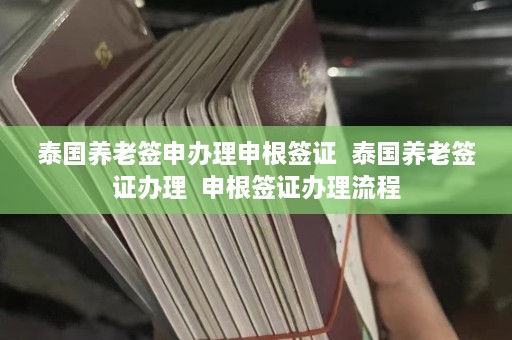 泰国养老签申办理申根签证  泰国养老签证办理 申根签证办理流程 第1张