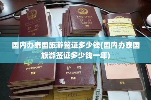 国内办泰国旅游签证多少钱(国内办泰国旅游签证多少钱一年)  第1张