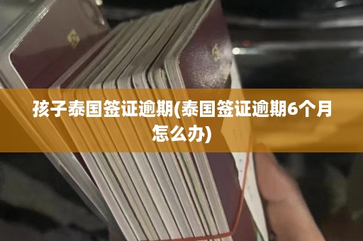 孩子泰国签证逾期(泰国签证逾期6个月怎么办)  第1张