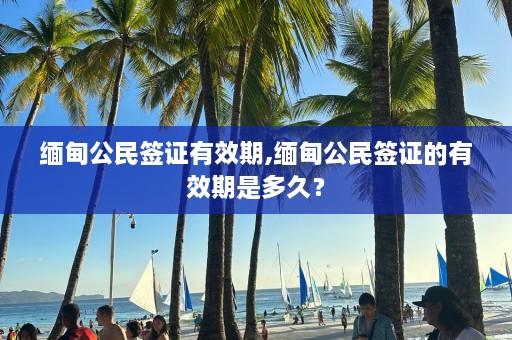 缅甸公民签证有效期,缅甸公民签证的有效期是多久？  第1张