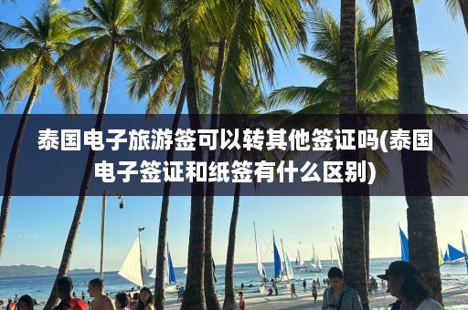 泰国电子旅游签可以转其他签证吗(泰国电子签证和纸签有什么区别)  第1张