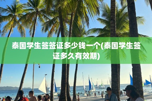 泰国学生签签证多少钱一个(泰国学生签证多久有效期)  第1张