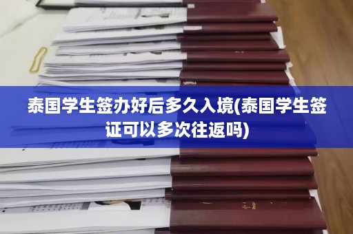 泰国学生签办好后多久入境(泰国学生签证可以多次往返吗)  第1张