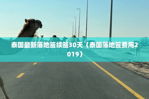 泰国最新落地签续签30天（泰国落地签费用2019）