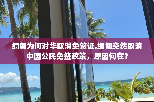  *** 为何对华取消免签证, *** 突然取消中国公民免签政策，原因何在？  第1张