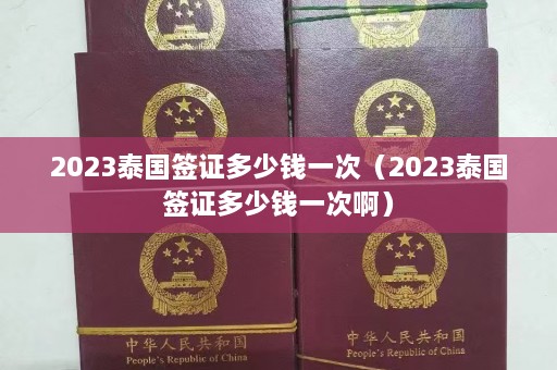 2023泰国签证多少钱一次（2023泰国签证多少钱一次啊）