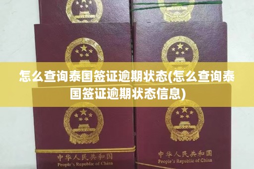 怎么查询泰国签证逾期状态(怎么查询泰国签证逾期状态信息)  第1张