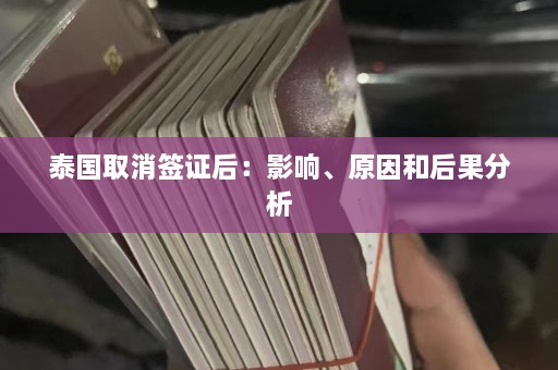 泰国取消签证后：影响、原因和后果分析  第1张