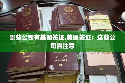 哪些公司有美国签证,美国签证：这些公司需注意