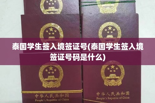 泰国学生签入境签证号(泰国学生签入境签证号码是什么)  第1张