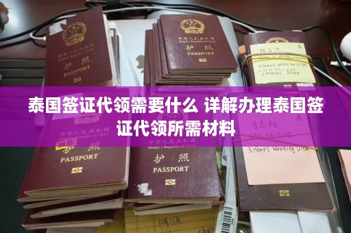 泰国签证代领需要什么 详解办理泰国签证代领所需材料  第1张